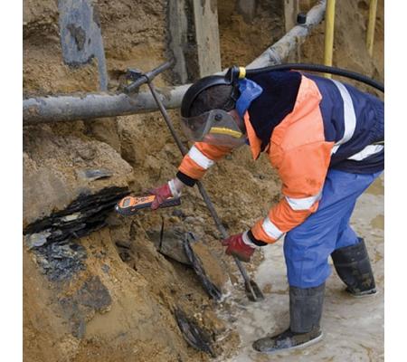 Ion Science Tiger (verhuur)