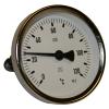 EURO-INDEX Buisklem bimetaal thermometer