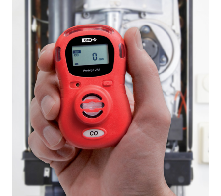 GMI Protégé ZM CO ARBO