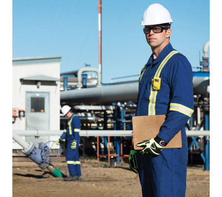 Honeywell BW Clip RT CO 2Y ARBO