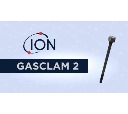 Ion Science Gasclam 2